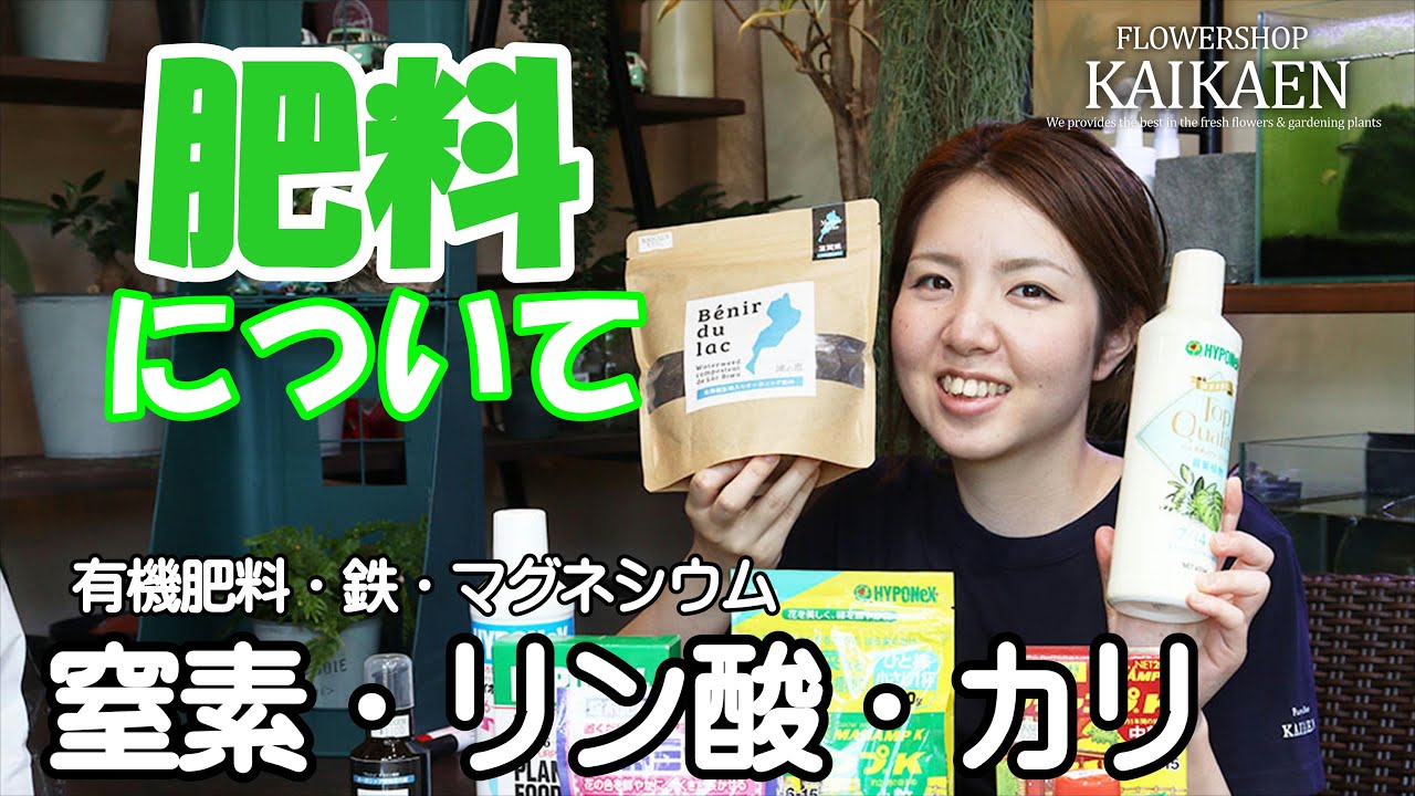 肥料　有機肥料　栄養　窒素・リン酸・カリ・鉄・マグネシウム【おうちでガーデニング】開花園チャンネル