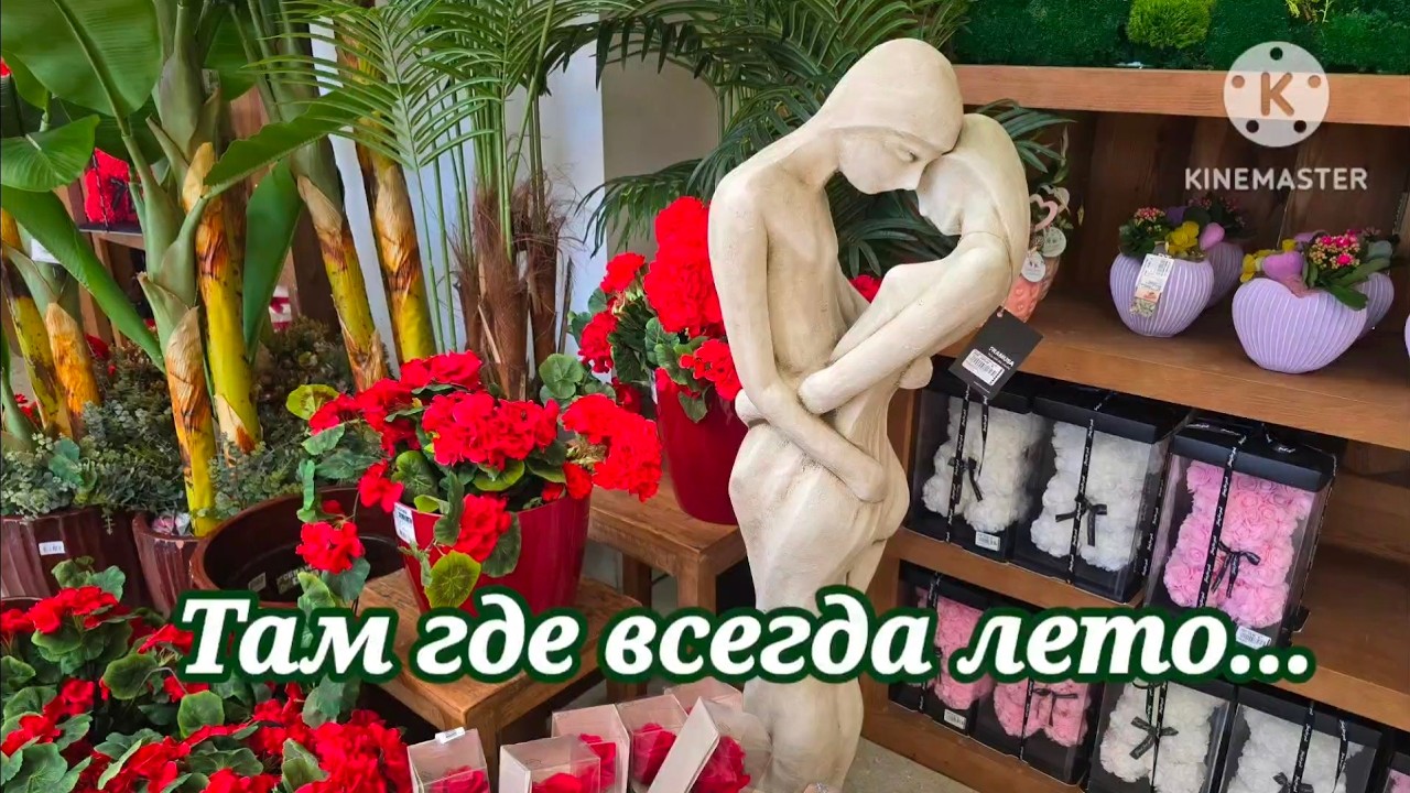 СКОЛЬКО СТОИТ УЮТ ЦЕНЫ НА РАСТЕНИЯ И ДЕКОР В 2026  #biophilicdesign #садовыйцентр  #эстетика #vlog