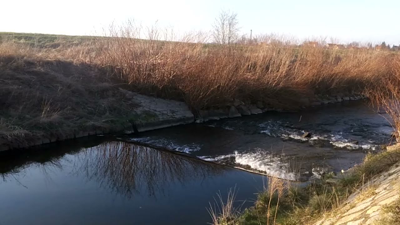 Stara Tama na Nysie Szalonej - Jawor / Jauer 2022-03-27
