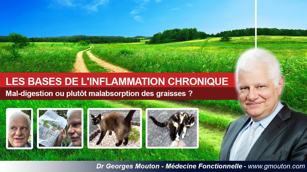 LES BASES DE L'INFLAMMATION CHRONIQUE