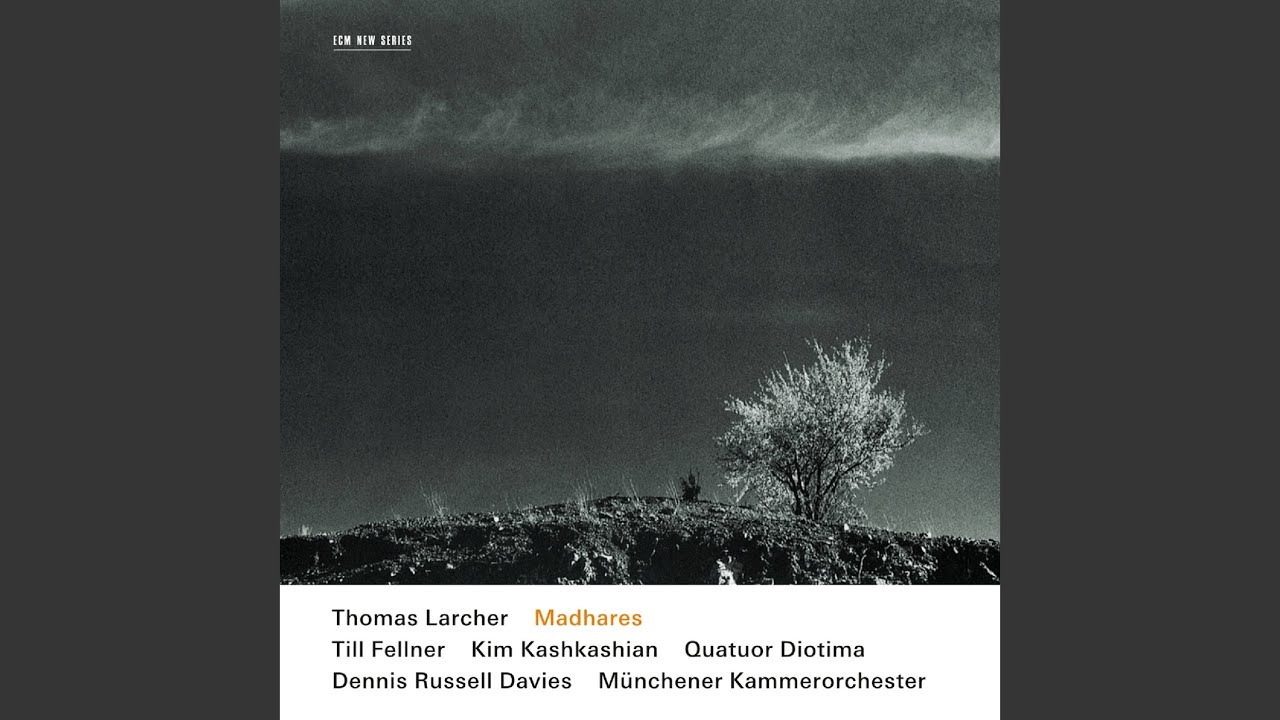 Larcher: Still for Viola and Chamber Orchestra (2002, Rev. 2004) Dedicated to Monika Groser: I....
