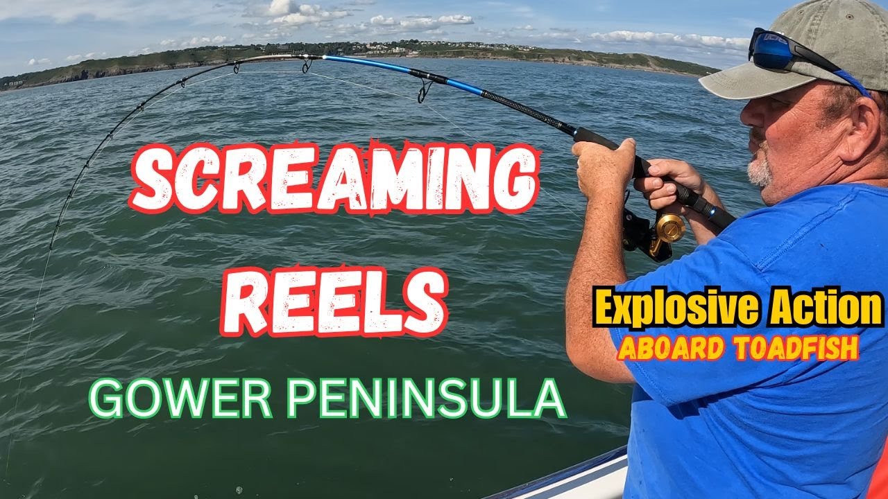 Screaming Reels off Gower peninsula .UK Boat Fishing. Summer Tope Fishing in the Bristol Channel.