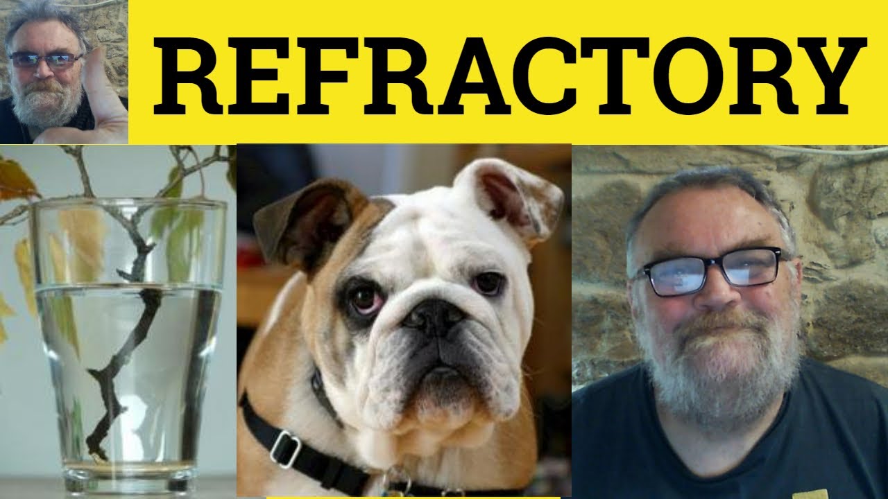 🔵 Refractory Meaning - Refract Definition - Refractory Examples - Describing People - Refractory