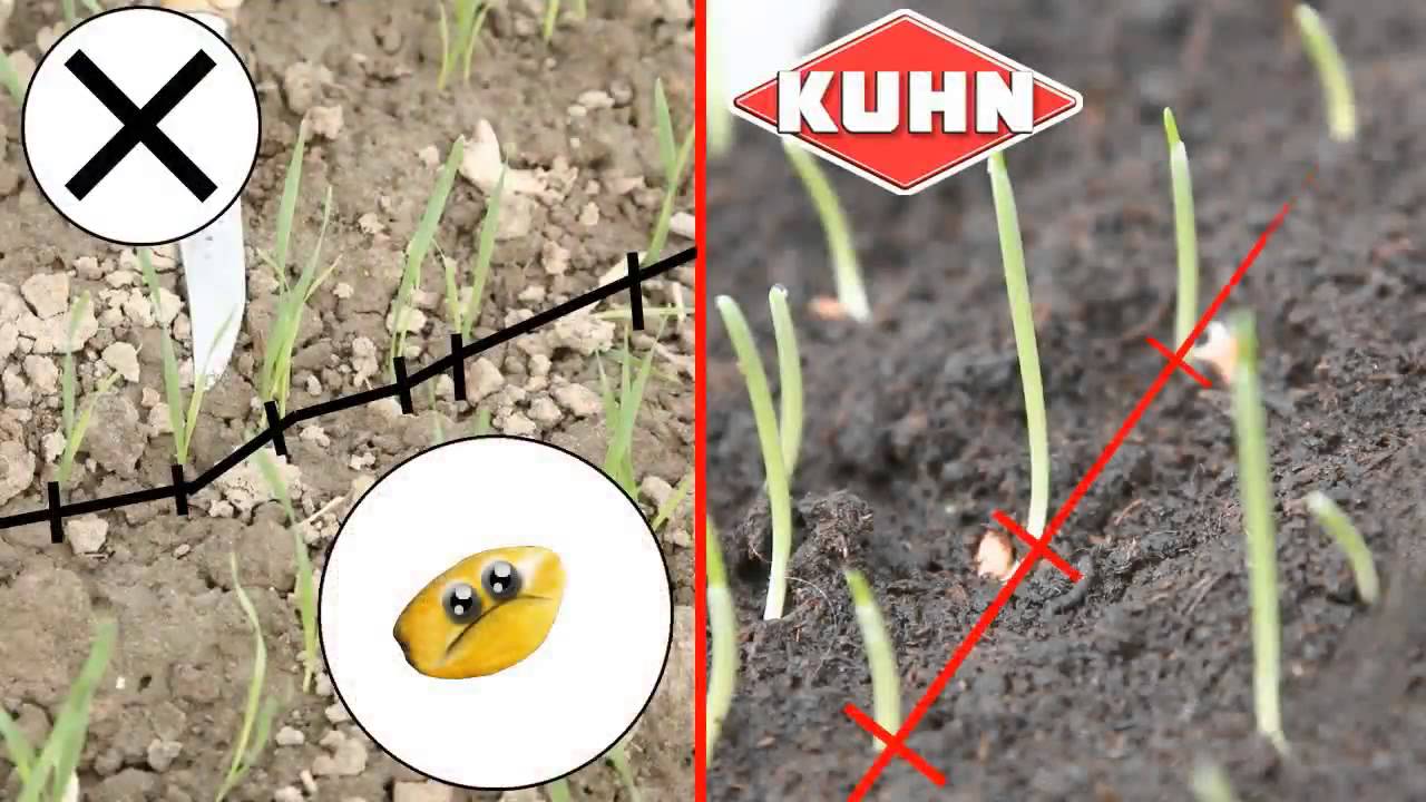KUHN - SEEDFLEX Animation