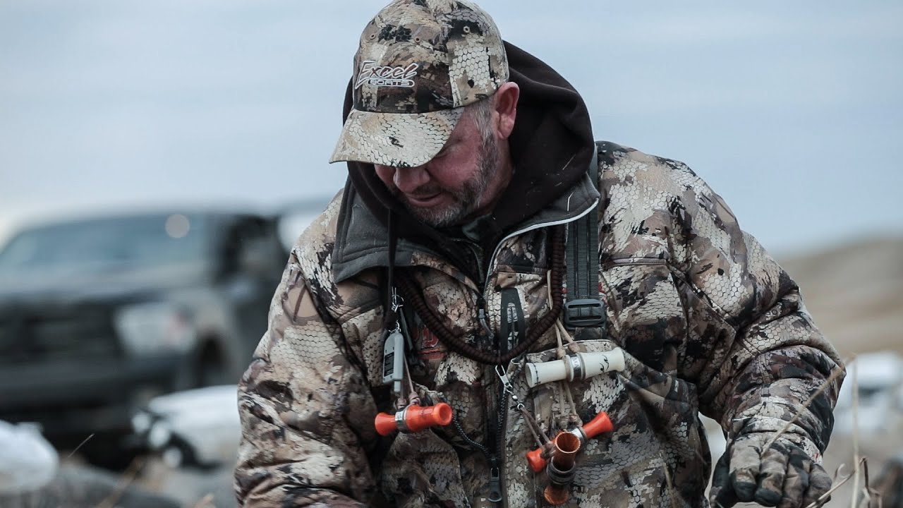 Mallards in the Morning, Benny.