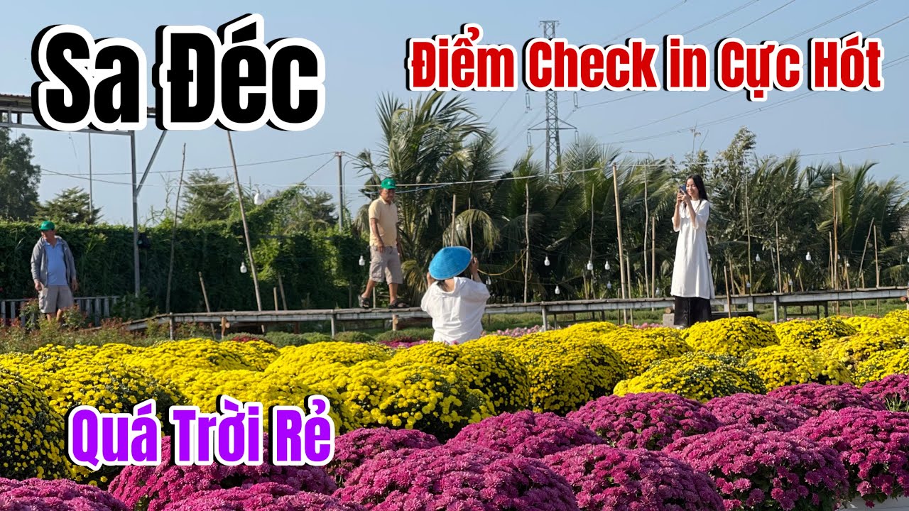 Độc Đáo Địa Điểm Tham Quan Check in Siêu Đẹp Giá Vé Cực Rẻ Ở Gần Làng Hoa Sa Đéc