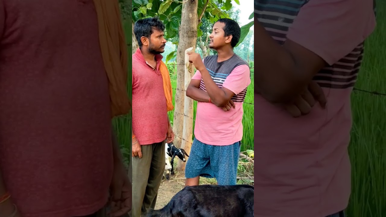 #comedy