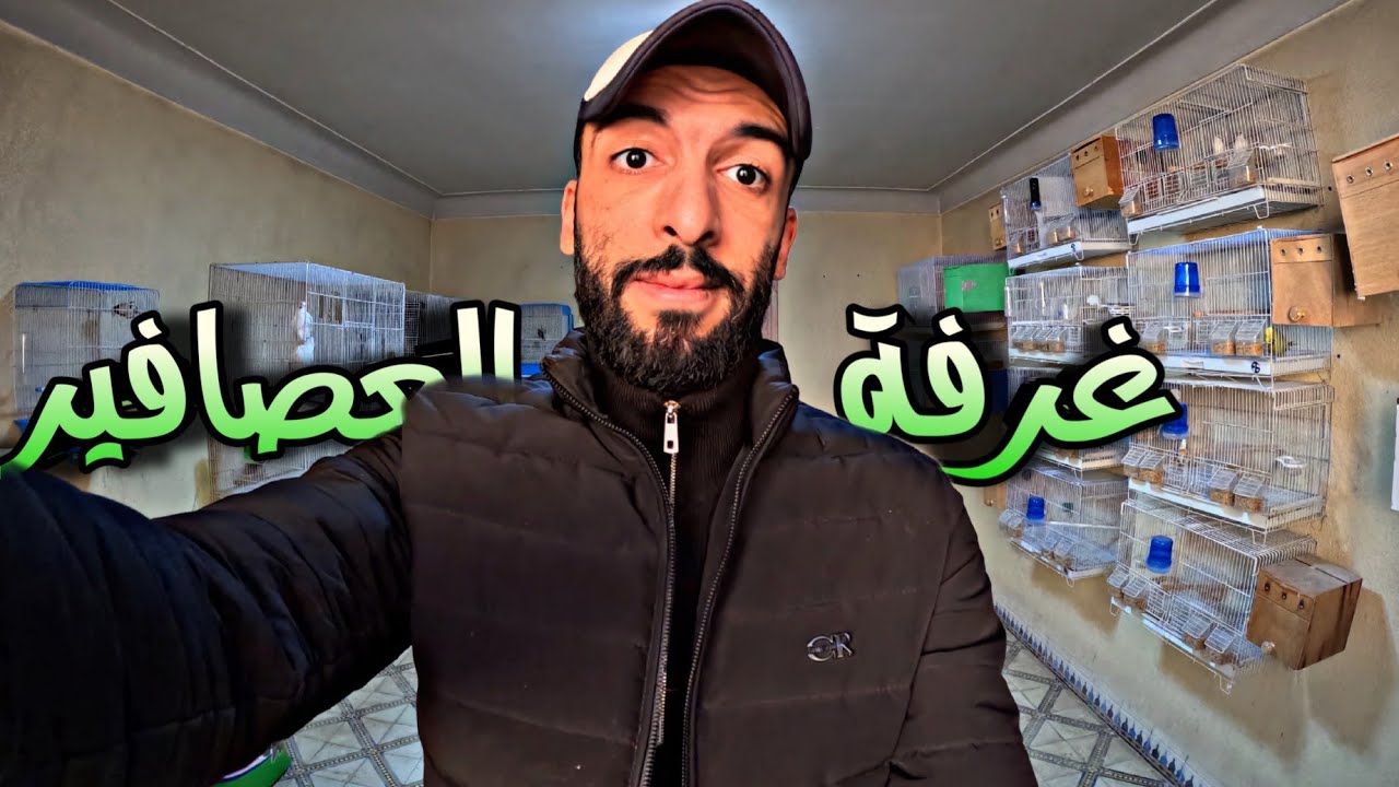 جولة في غرفة العصافير 😜