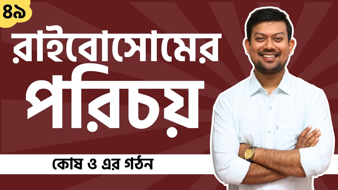 49. রাইবোসোম। প্রোটিন ফ্যাক্টারী। সার্বজনীন কোষীয় অঙ্গাণু। Protein factory