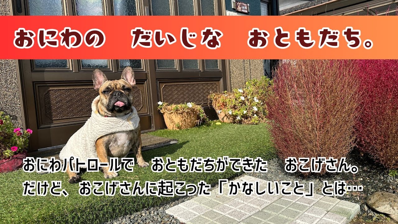 おにわの　ともだち