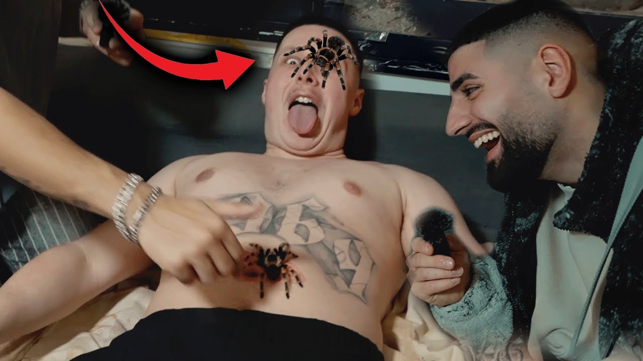 Jordan BEKOMMT eine GIFTIGE VOGELSPINNE ins GESICHT | Jordan & Semih