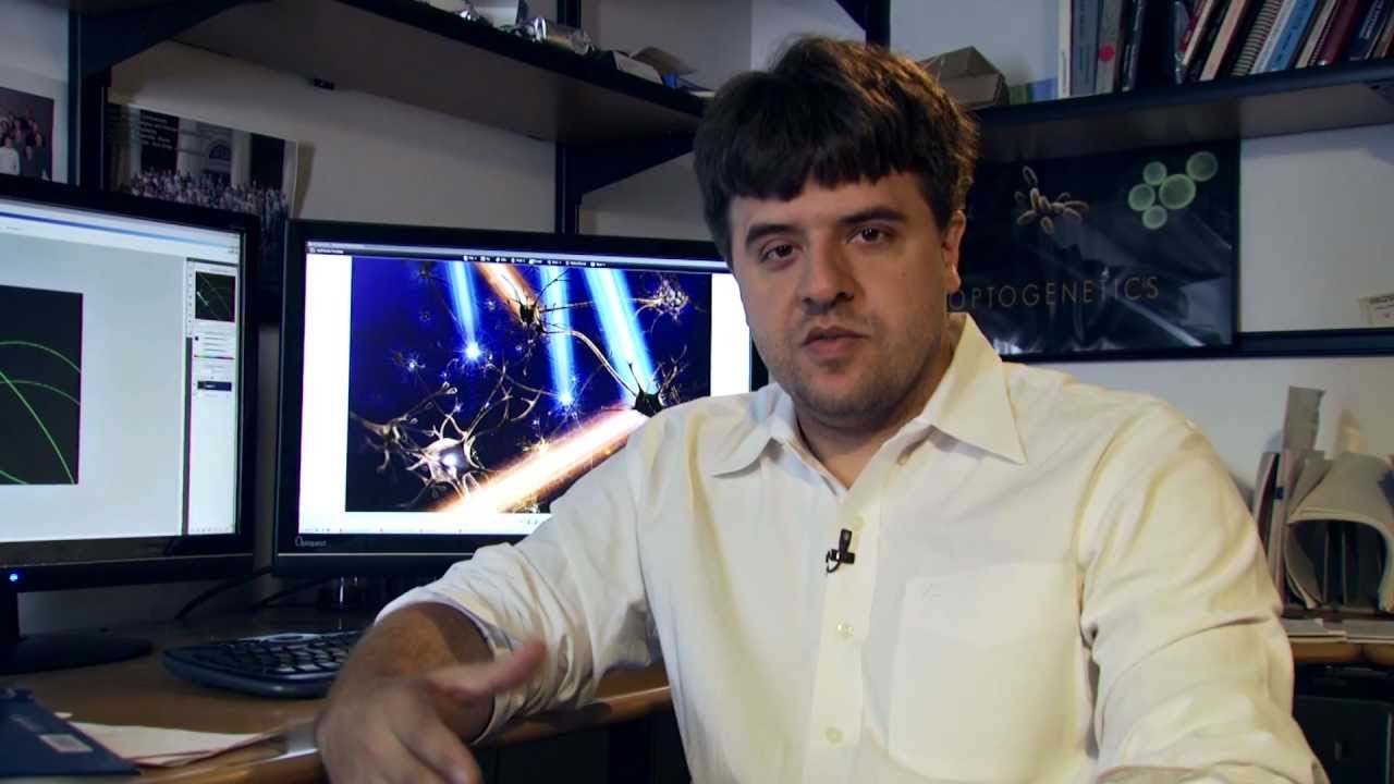 CRACKING THE NEURAL CODE