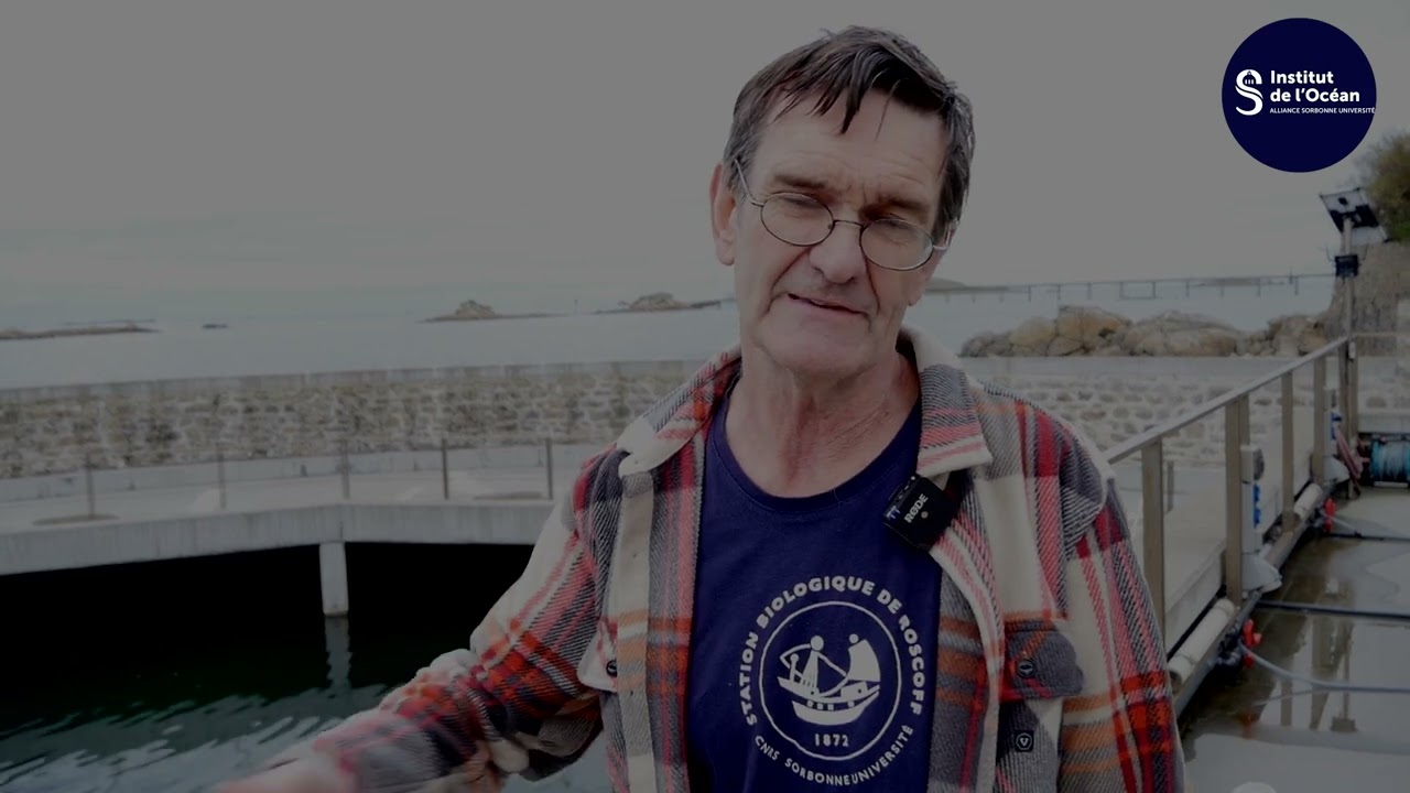 Philippe Potin - Ecosystème endommagés : la restauration des algues marines