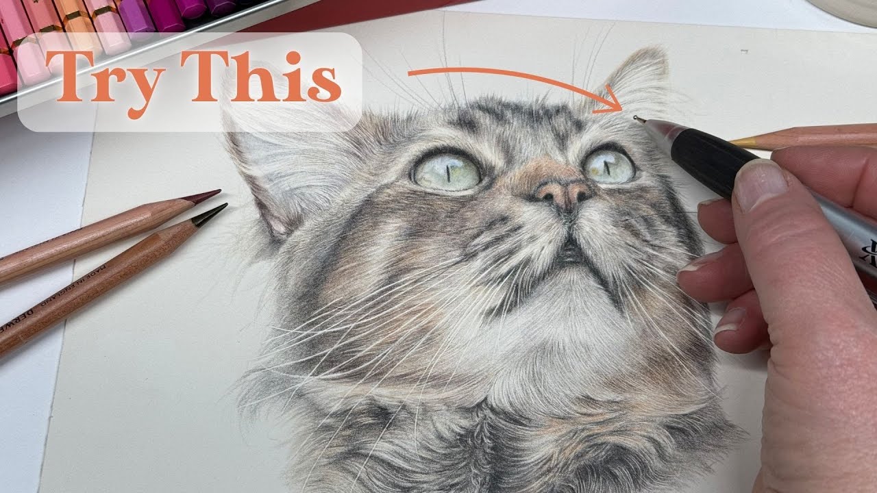 My Top 3 Tips for Drawing Realistic Animals With Colored Pencils