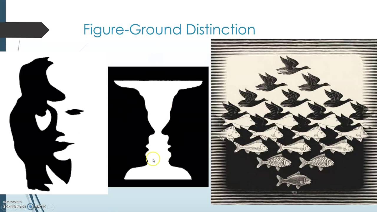 Gestalt Principles of Perception