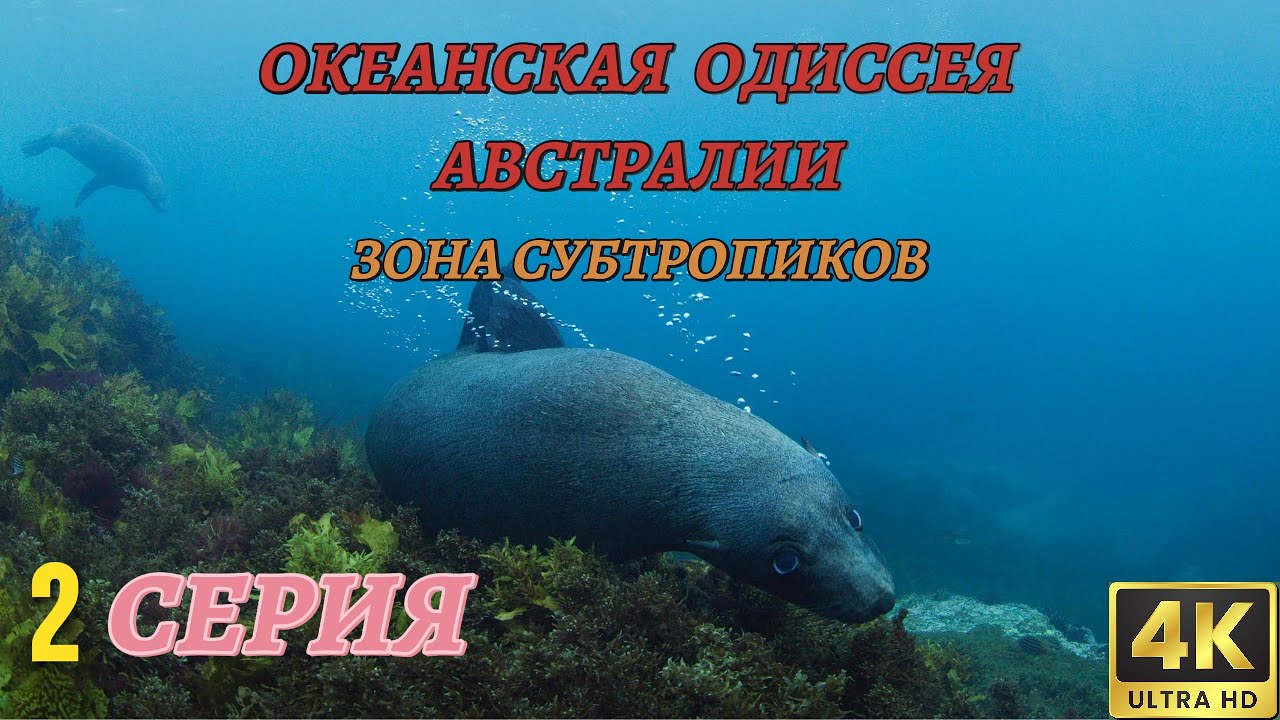 Мир Дикой Природы. Австралия и Океания. Документальный Фильм 4K. 2 серия из 3