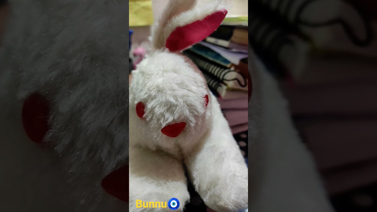 My cute lil study partner~Pyaru Bunnu🥰🧿 #study #studypartner #doctor