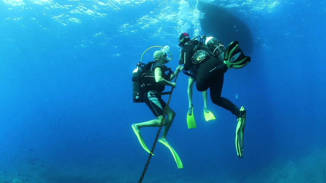 Try Scuba Diving - Isola D'Elba