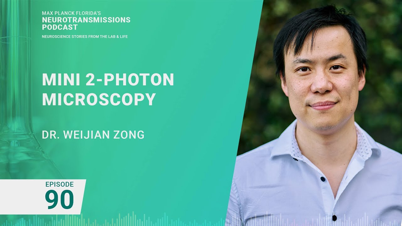 Podcast Episode 90 - Mini 2-Photon Microscopy | Weijian Zong
