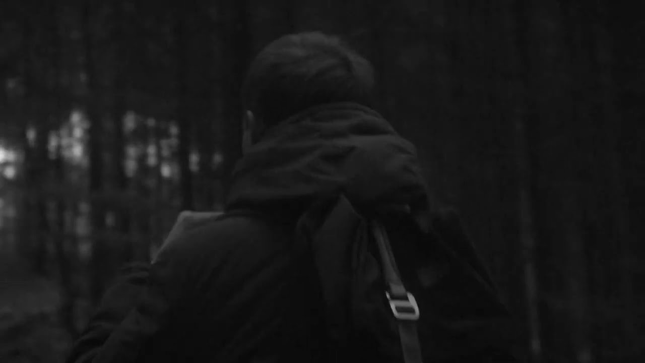 Rosenthal - Afraid of Stairs (Lyric Video)
