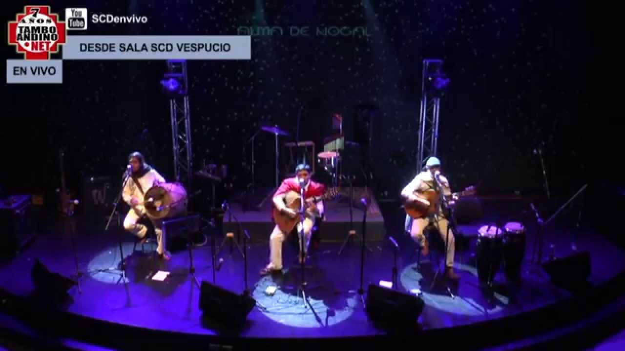 SAPO CANCIONERO (ALMA DE NOGAL CHILE)