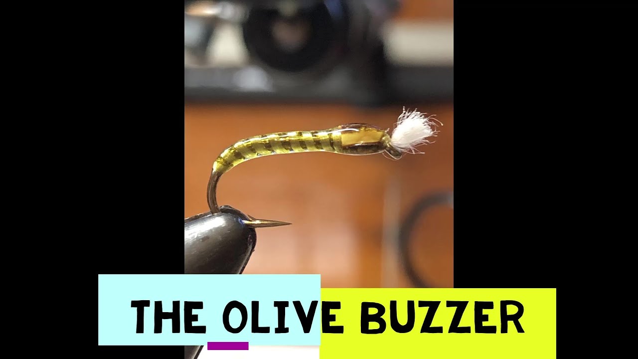 Tying the Olive Buzzer