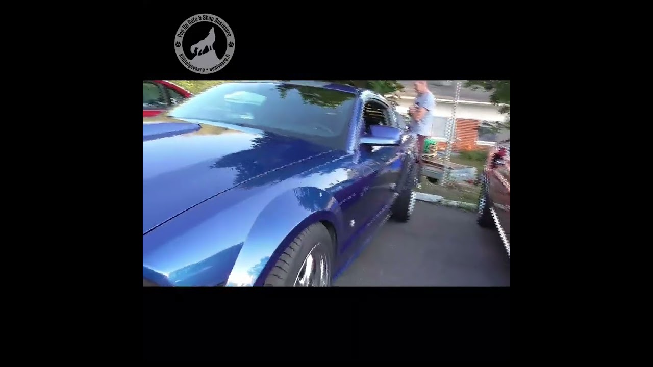 North Karelia Mustang &ndash; (Ford) Mustang Owners Club Finland vierailu Susivaarassa 5.9.2024!