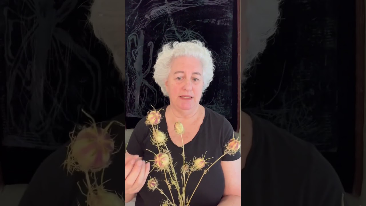 What Plant Does Black Seed Oil Come From?