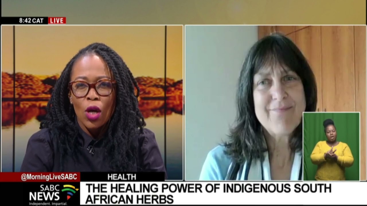 The healing power of SA's indigenous herbs