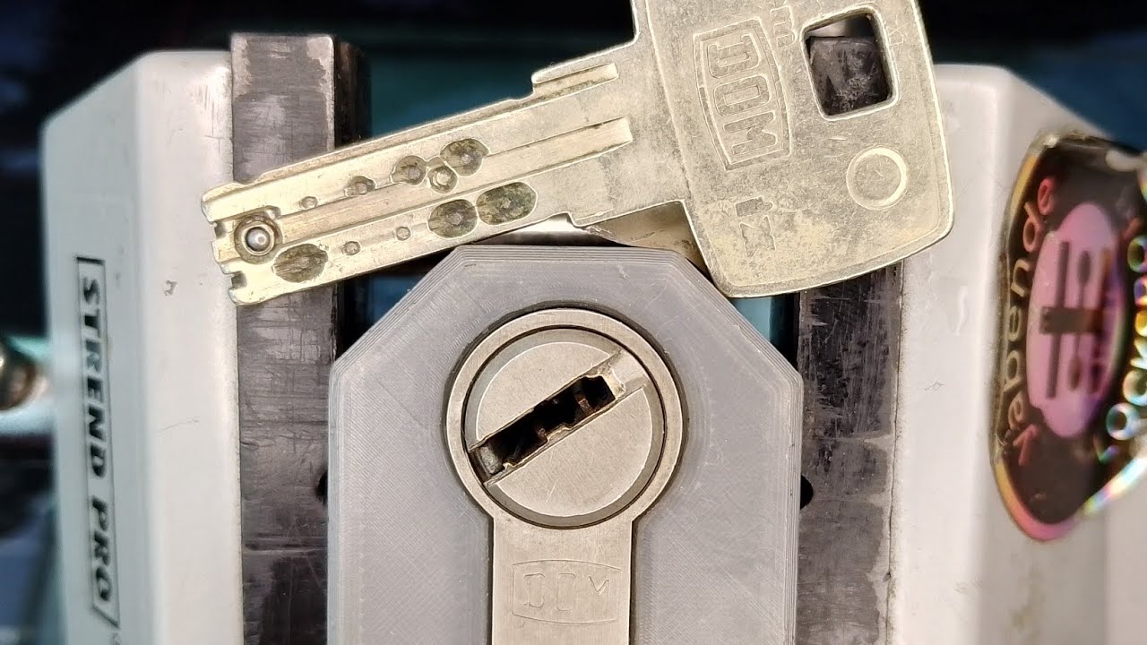 Dom IX10KG pick and gut