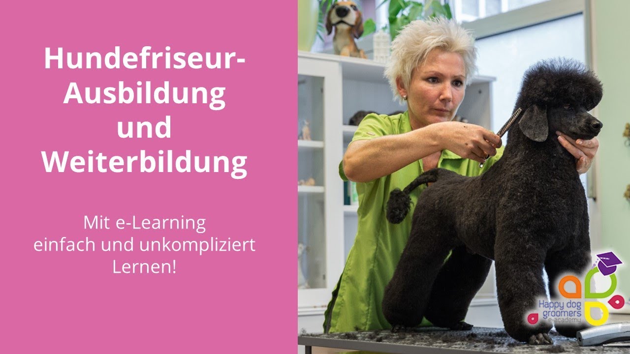 AUSBILDUNG zum HUNDEFRISEUR mit Margit Schönauer
