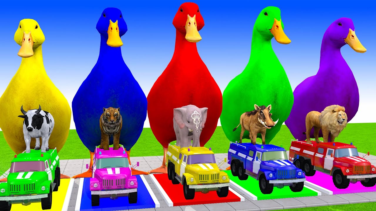 Long Slide Game With Cow Elephant Gorilla Hippopotamus Tiger 3d Animal Game Funny 3d Animals