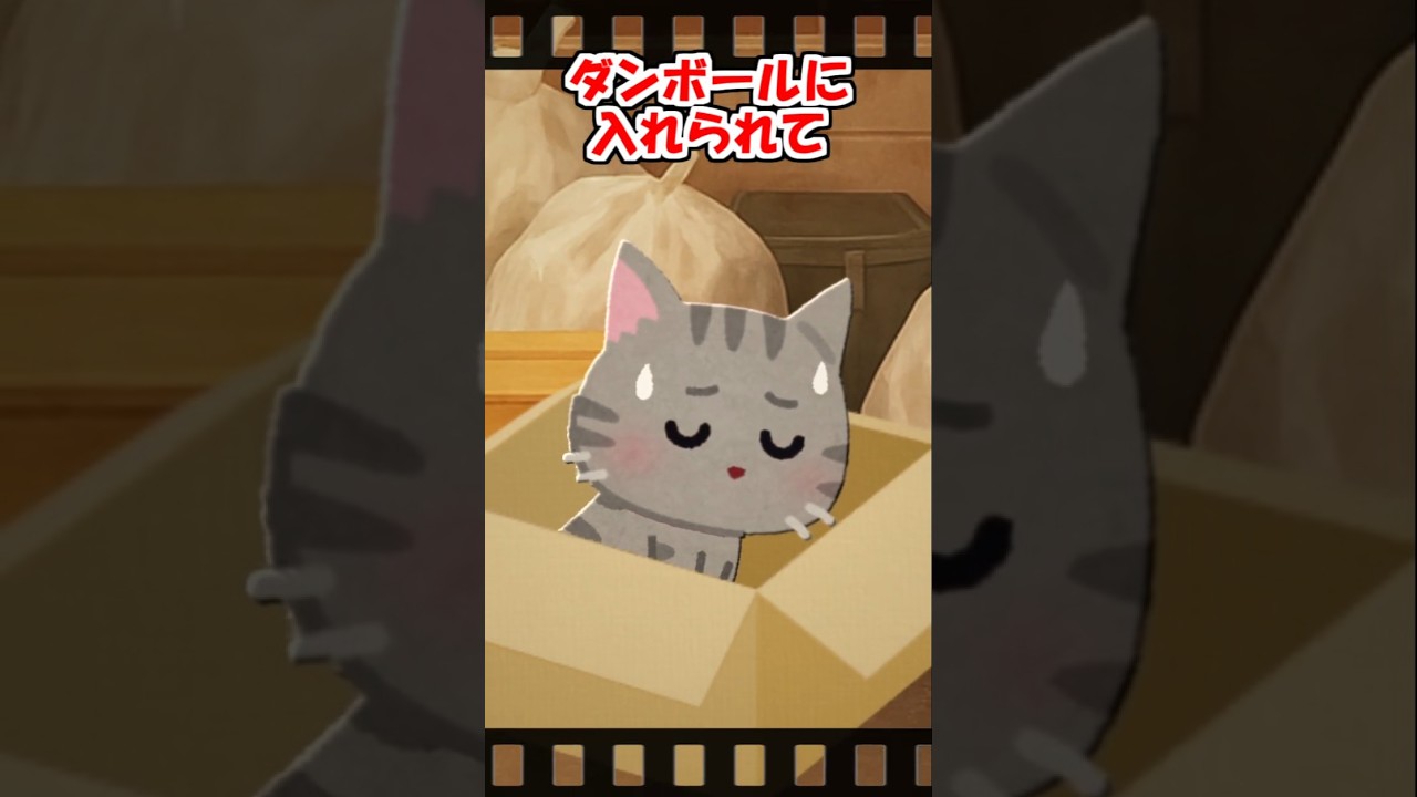 【2ch】猫缶ばかり食べるウチの猫は&hellip;【アニマル】 #Shorts