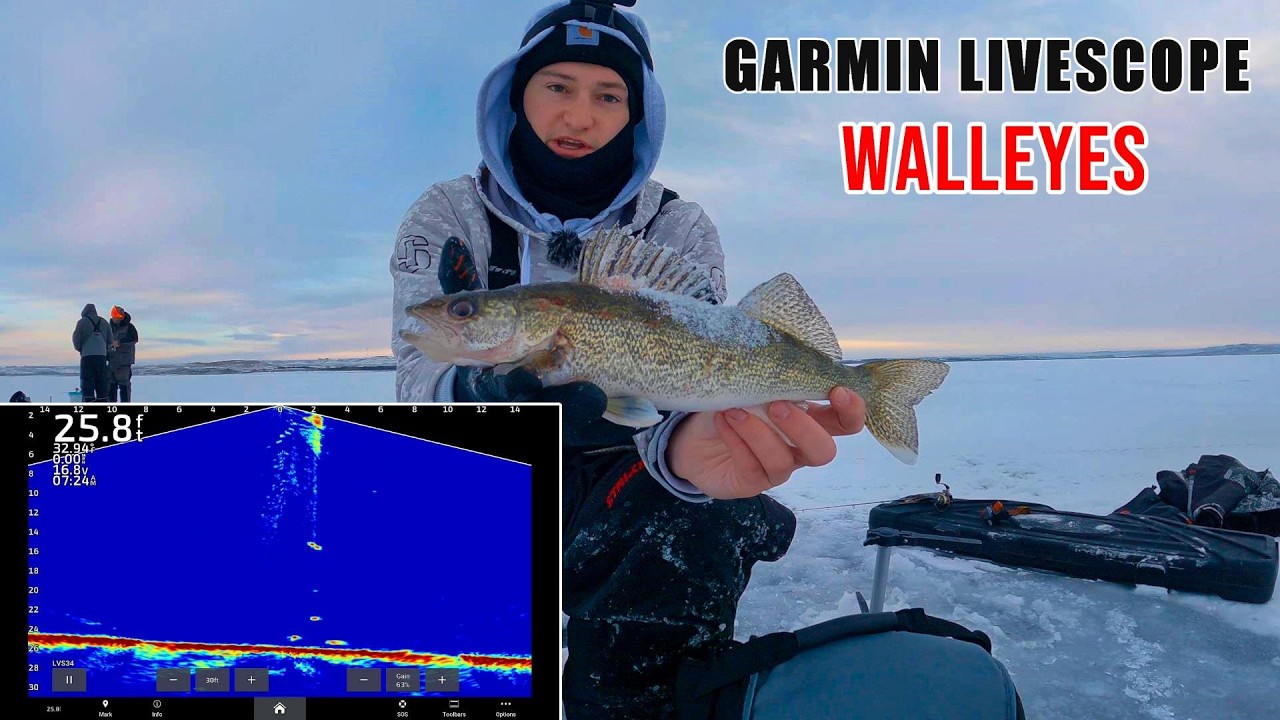 Ice Fishing Walleyes!! | Garmin LiveScope footage!