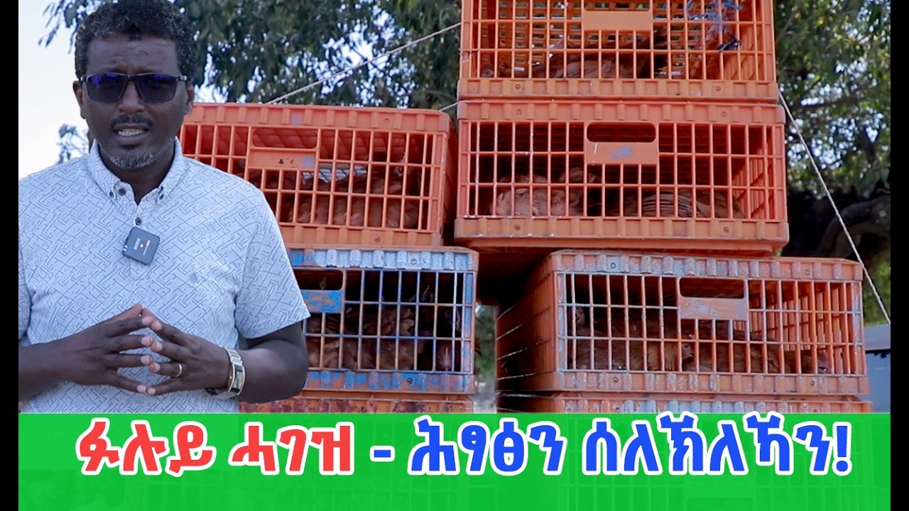 ፉሉይ ሓገዝ ኣብ ሕፃፅን ሰለኽለኻን! ብተጋሩ ታምፓ ኦርላንዶ
