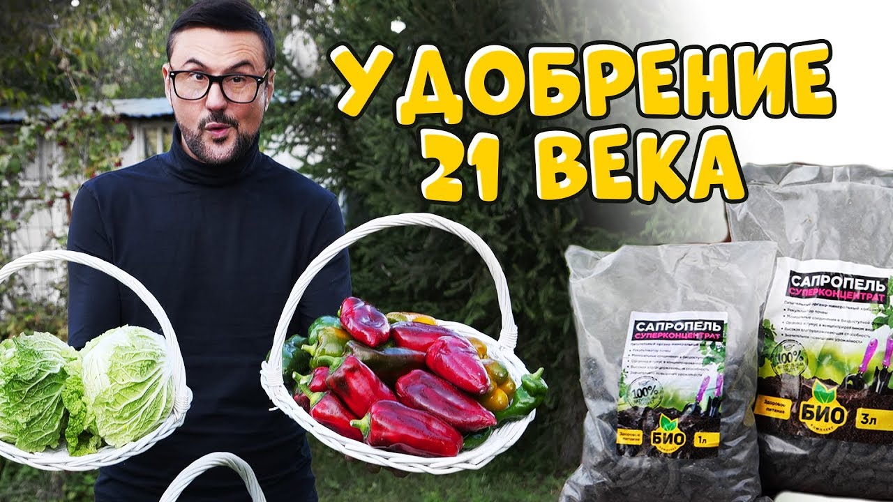ПОВЫШАЕМ ПЛОДОРОДИЕ ПОЧВЫ. УДОБРЕНИЕ 21 ВЕКА. САПРОПЕЛЬ