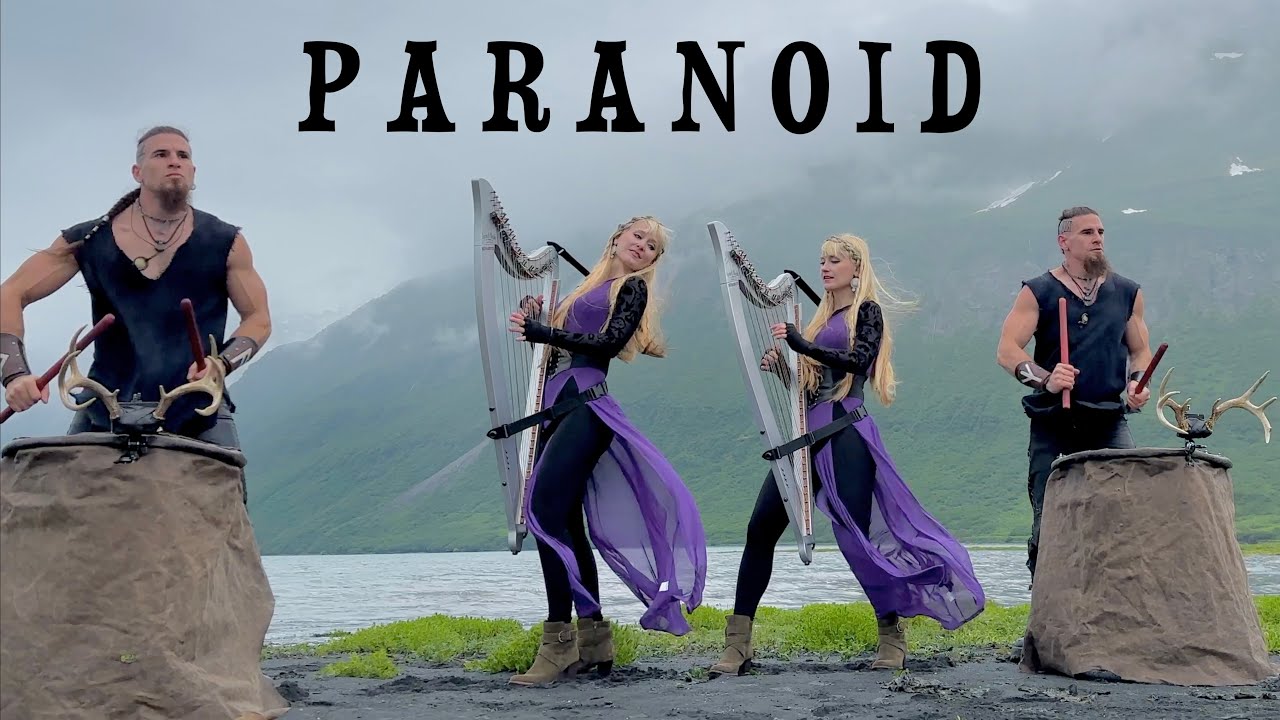 Paranoid (Black Sabbath) Harp Twins + @volfgangtwins ​