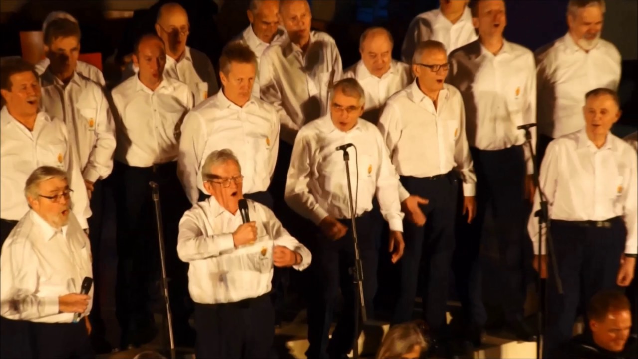 Snuten un Poten Harmonie Finkenwerder Jahreskonzert 2016