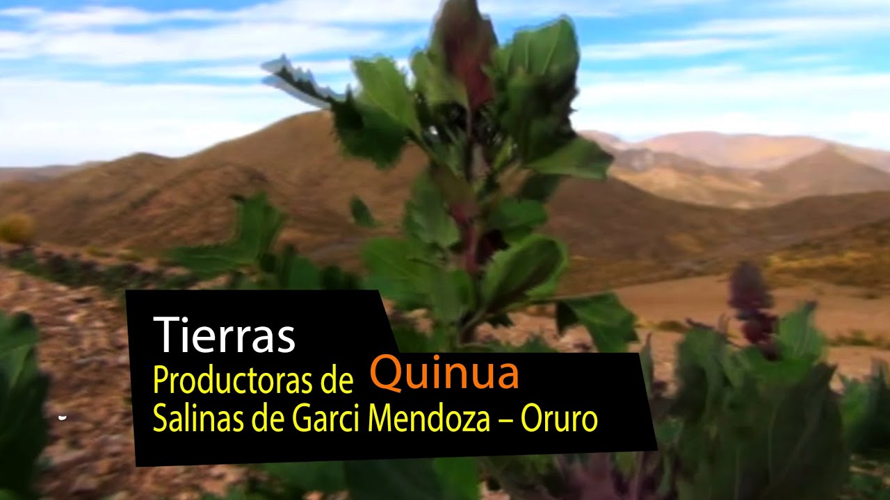 Salinas de Garci Mendoza