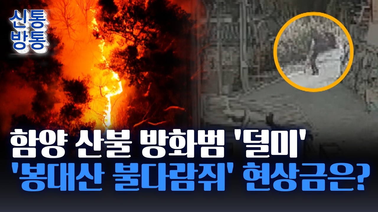 [신통방통] 함양 산불 방화범 잡았다···혼자 96차례 방화한 '봉대산 불다람쥐' 현상금은 얼마?