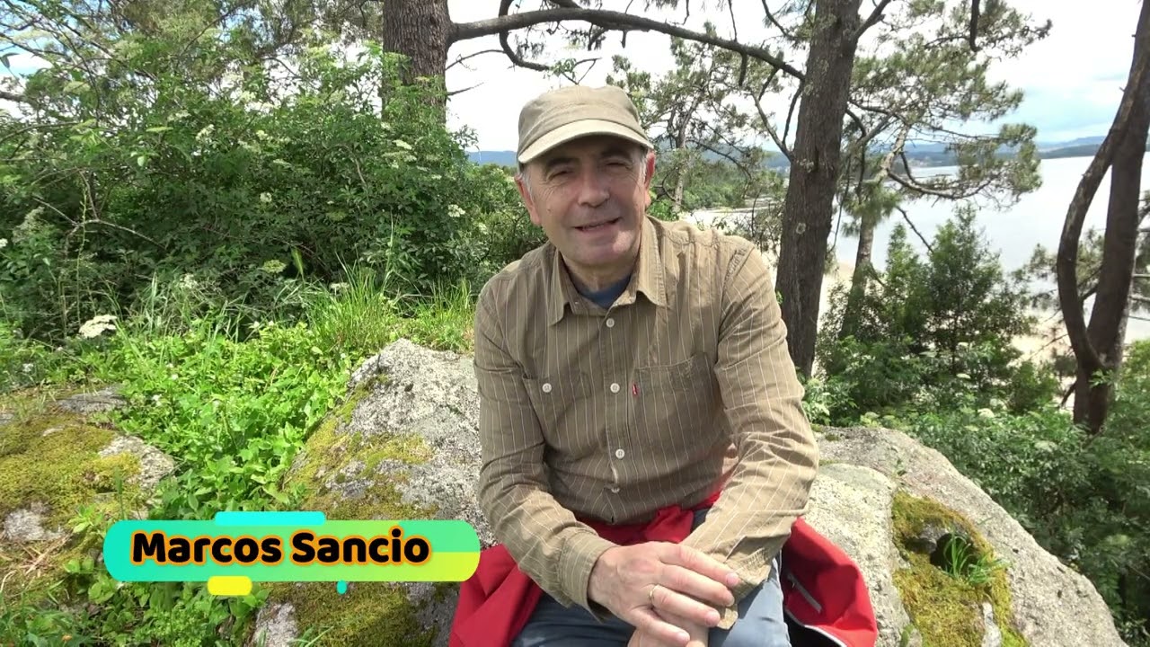 La lucha feroz del Estornino contra la Urraca, para salvar a sus polluelos.