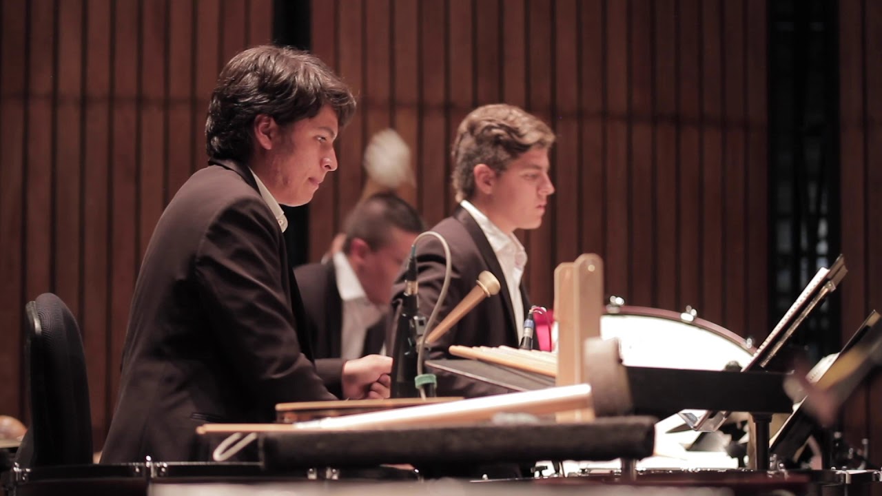 Shostakovich - Symphony Nº10,  II.  Allegro