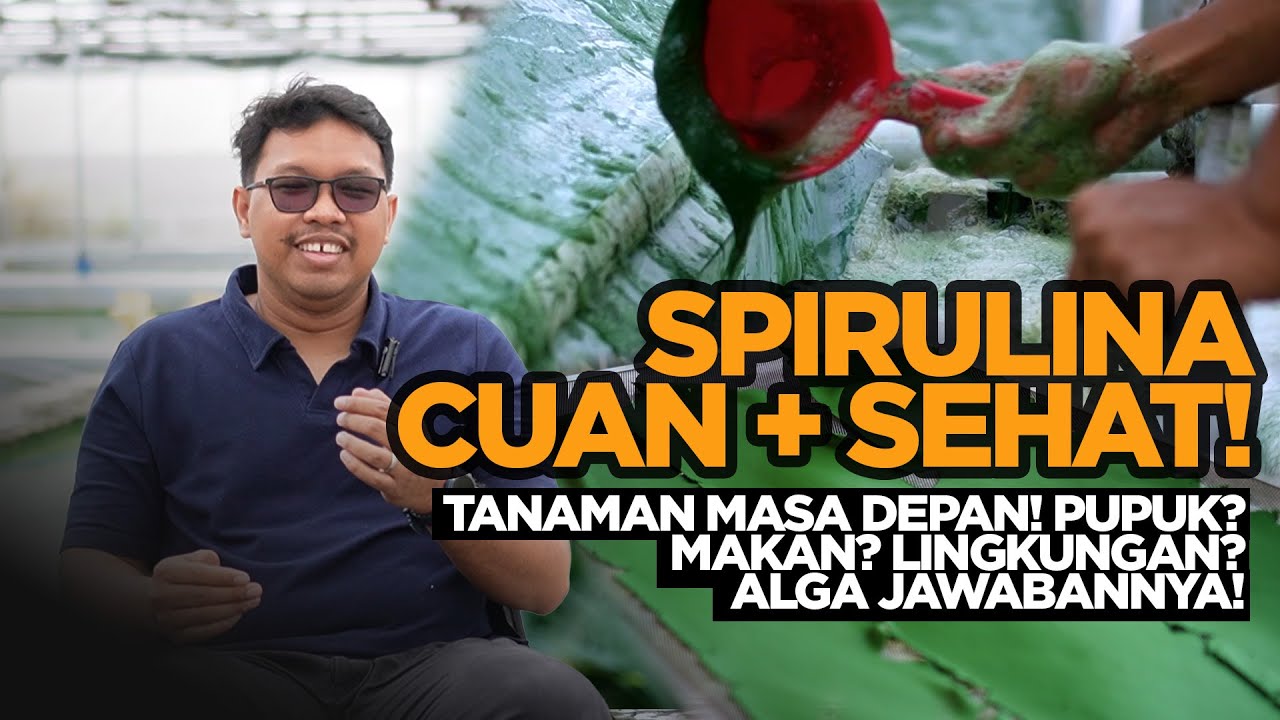 Solusi Krisis Pangan & Lingkungan! Budidaya Alga Kaya Nutrisi yang Jarang Diketahui!