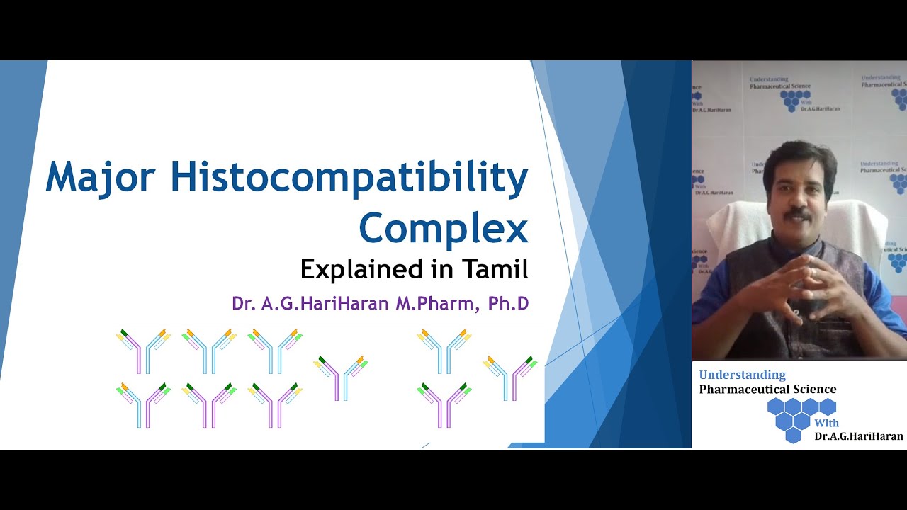 Major Histocompatibility Complex Explained in Tamil