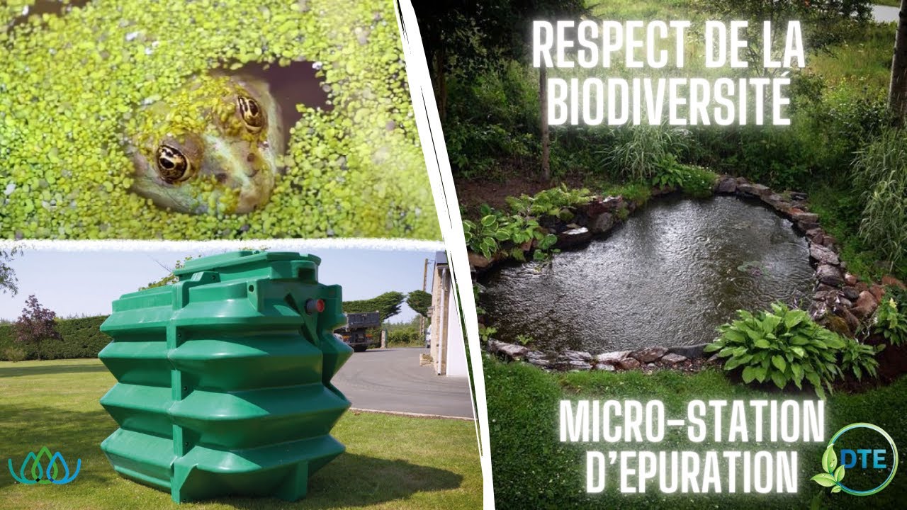 Micro station d'épuration Innoclair: respect de la biodiversité