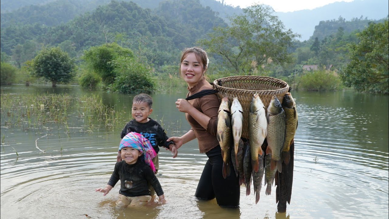 Set traps and catch giant fish to sell at the market - take care of chicks and ducklings.