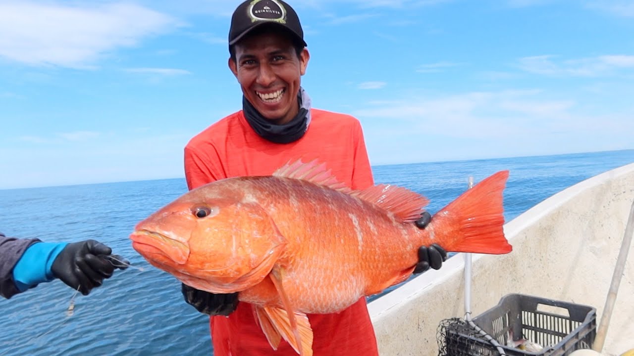 Pesca Y Cocina En Alta Mar, Pesca Con Redes