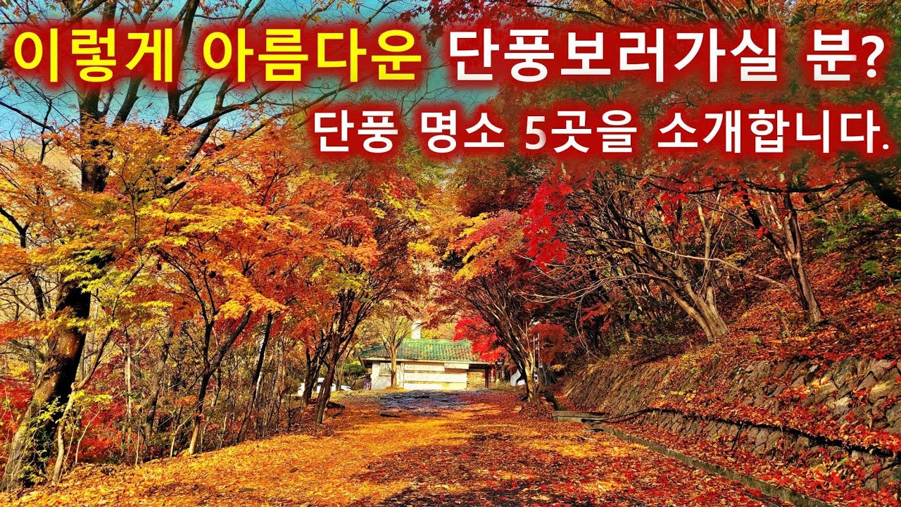 지금 꼭 가봐야 할 단풍 산행지 BEST 5/내장사/백양사/선운사/대둔산/가야산/100대명산