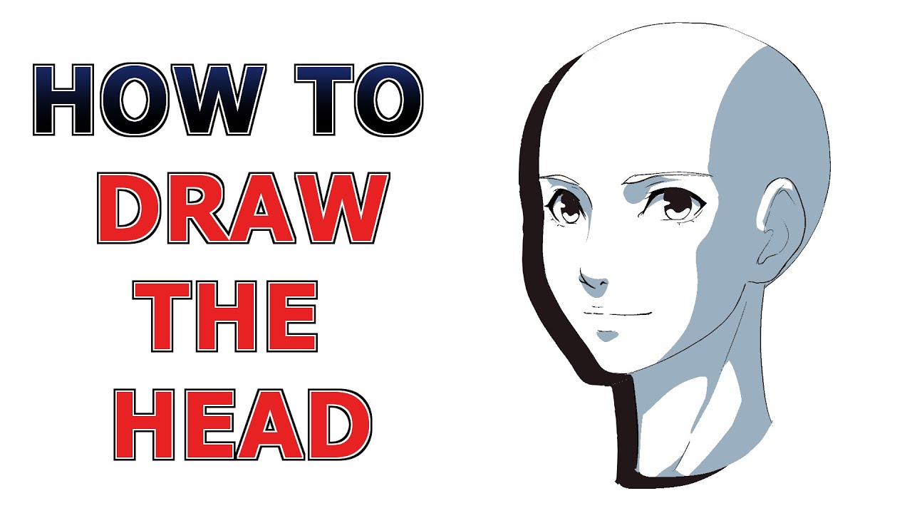 How to Draw the Head / Anime Head for Beginners