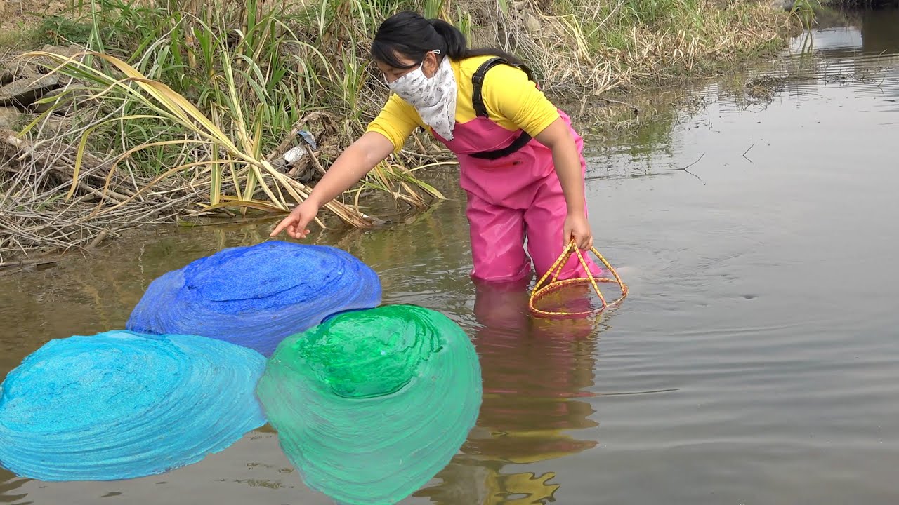 A rare treasure! The girl discovered a large clam shell containing countless precious pearls